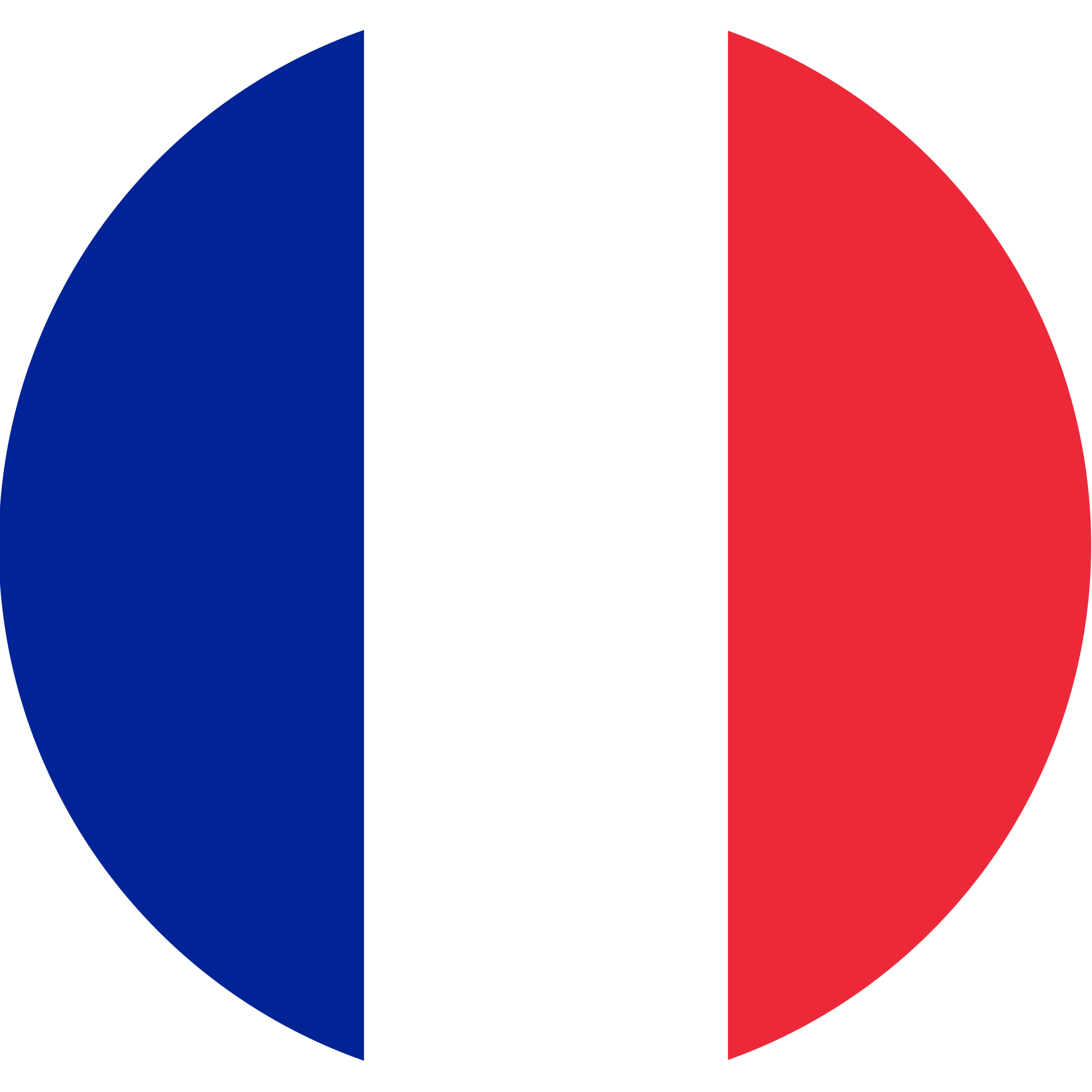flag icon